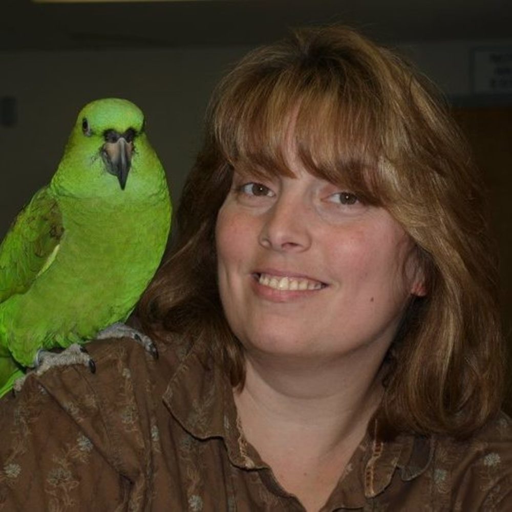 Meet your Posher, Paige